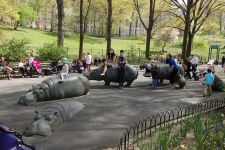 Photo of Hippo Playground Photo of Hippo Playground